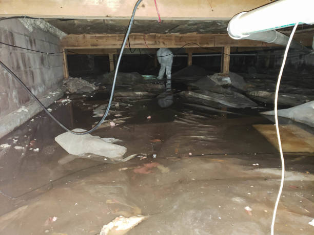 Best Wood Floor Water Damage Restoration in Sundance, WY